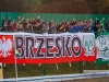 2012-11-10_brzesko_0015